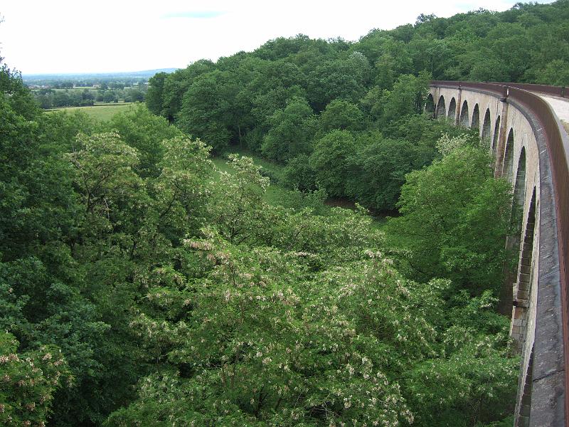 2010-05- (68).JPG